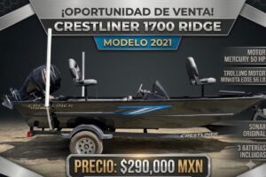 PHOTO-2026-06-16-12-41-20